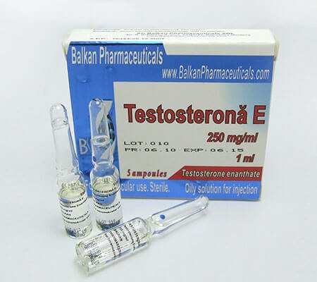 testosterone-enanthate-balkan-pharma-2